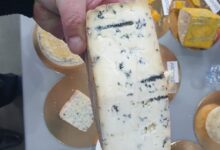 Photo of Уникальный ассортимент сыров на вкусный-сыр.рф